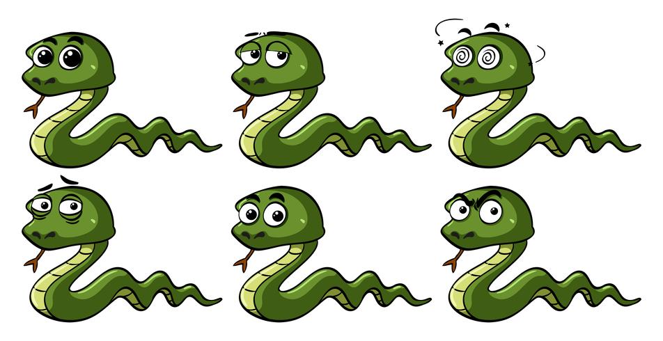 Green snakes with different emotions