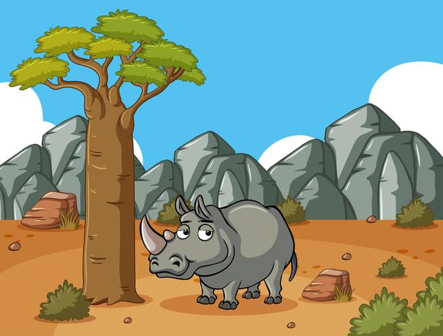 Rhino on the desert field vector