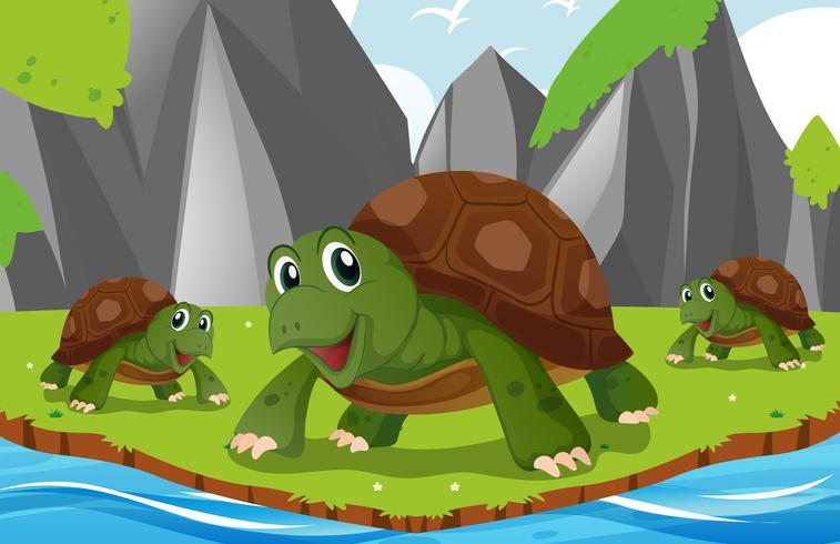 Turtles living by the river vector