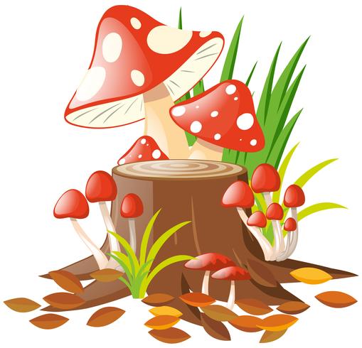 Mushroom mold icon, cartoon style 14308930 Vector Art at Vecteezy