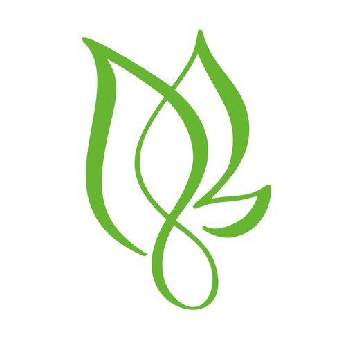 Logo of green leaf of tea. Ecology nature element vector icon. Eco ...