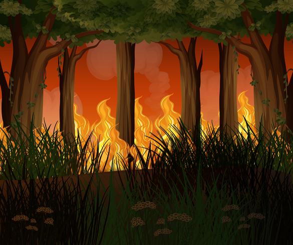 Un bosque con desastre de incendios forestales vector