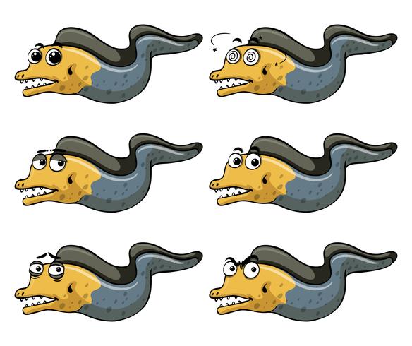 Eel with different emotions vector