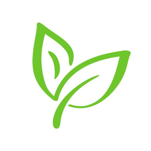 Logotipo de la hoja verde del té. Icono de vector de elemento de naturaleza ecología. Bio vegano caligrafía bio dibujado a mano ilustración