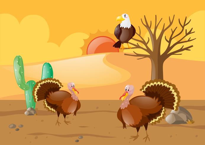 Turkeys and eagle in desert vector