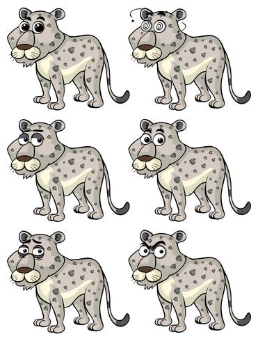 Cheetah with different emotions vector