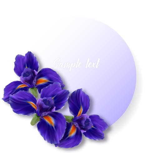 Round label or card with realistic iris flowers vector