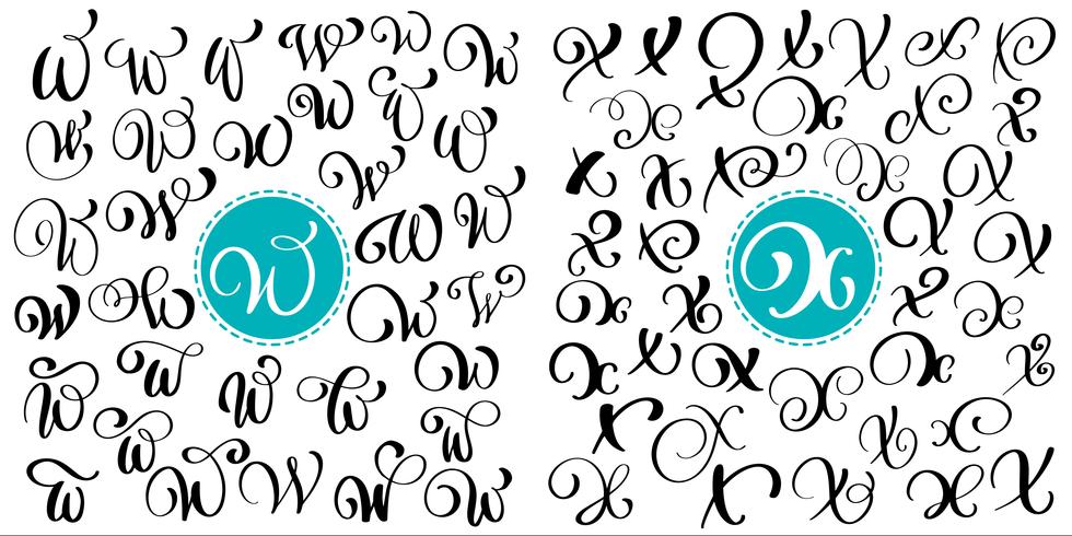 Set of Hand drawn vector calligraphy letter W, X