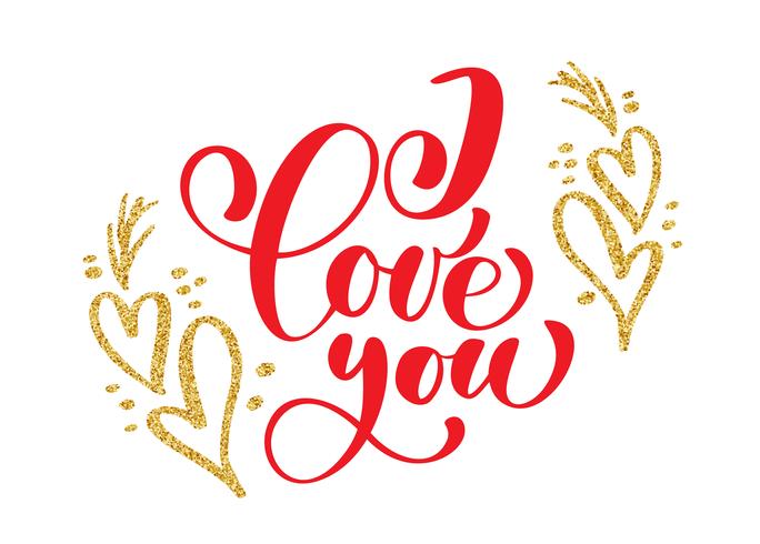 Hand written inscription I love you on the background of golden heart vector