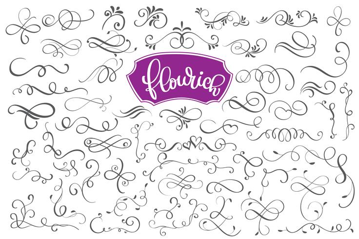 Flourich elementos de diseño caligráfico y decoración de página. vector