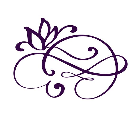 hand drawn flourish Calligraphy elements. Vector illustration