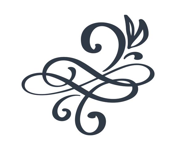 hand drawn flourish Calligraphy elements. Vector illustration