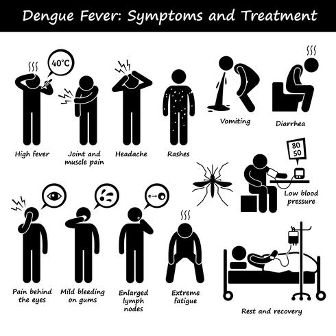 Síntomas y tratamiento de la fiebre del dengue Aedes Mosquito Stick Figure Pictogram Icons. vector