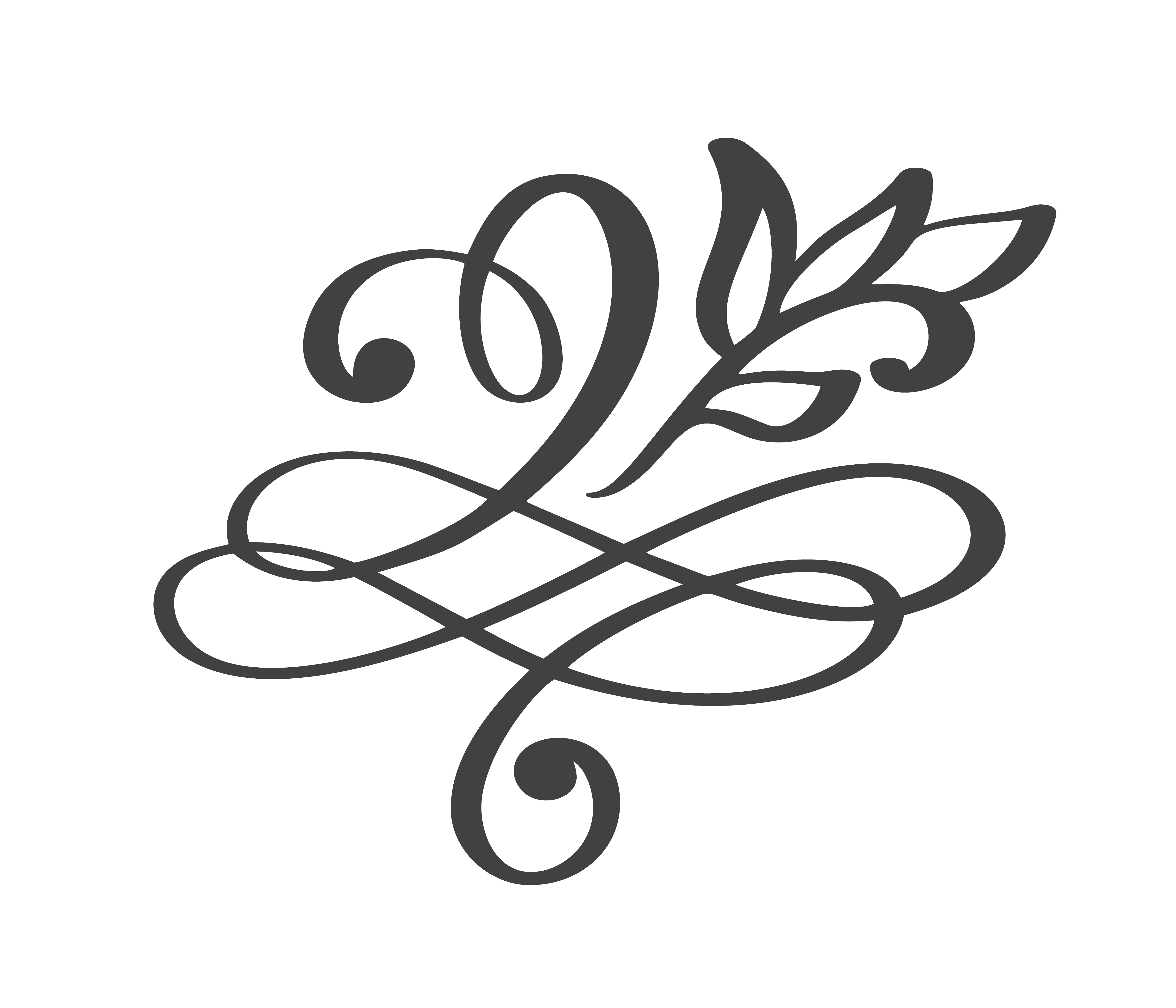 hand drawn flourish Calligraphy elements. Vector