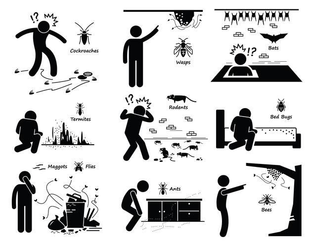 Infestation of Pests Cockroaches Wasp Bats Termites Rats Bugs Maggots Ants Bees. vector