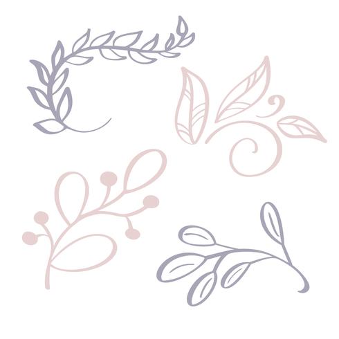 Hand drawn Wild flowers branch  vector