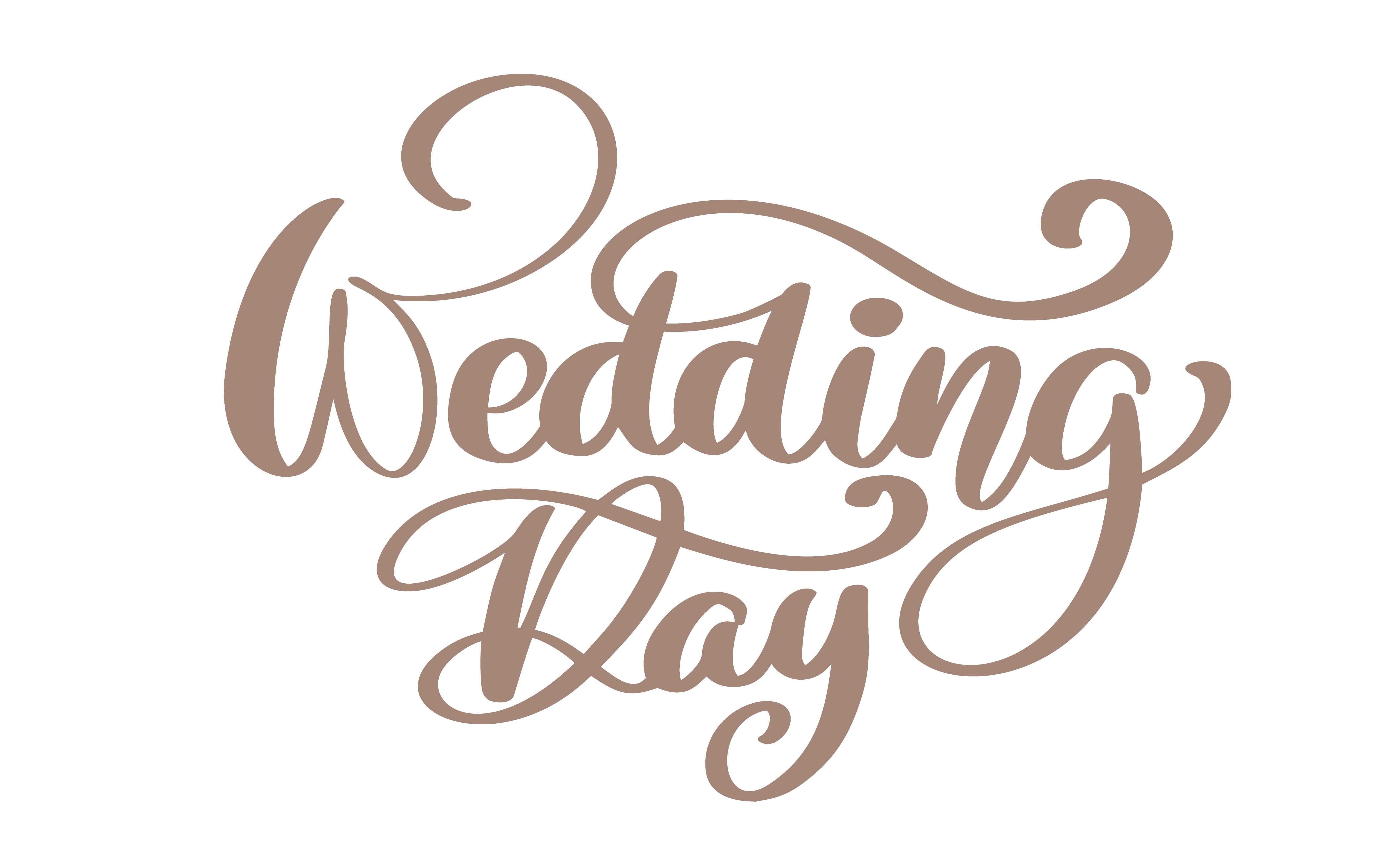 Download Calligraphic quote wedding day vector text on white ...