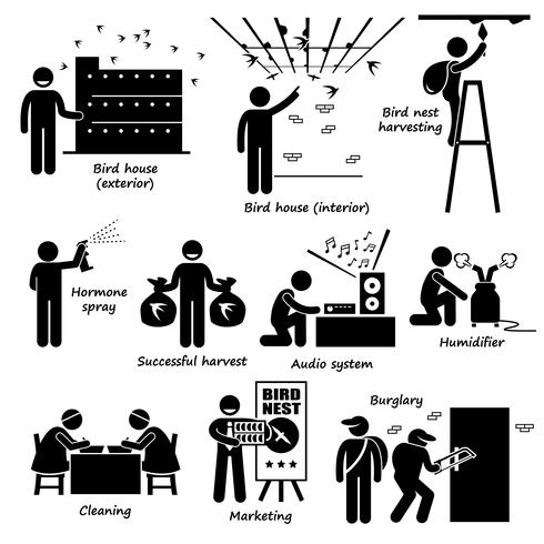 Swiftlet Farming Bird Nest Stick Figure Pictogram Icons. vector