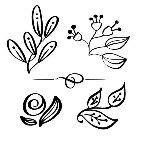 Set de dibujo de vector de rama de flores silvestres dibujadas a mano y boceto con arte lineal sobre fondos blancos, para logotipo botánico