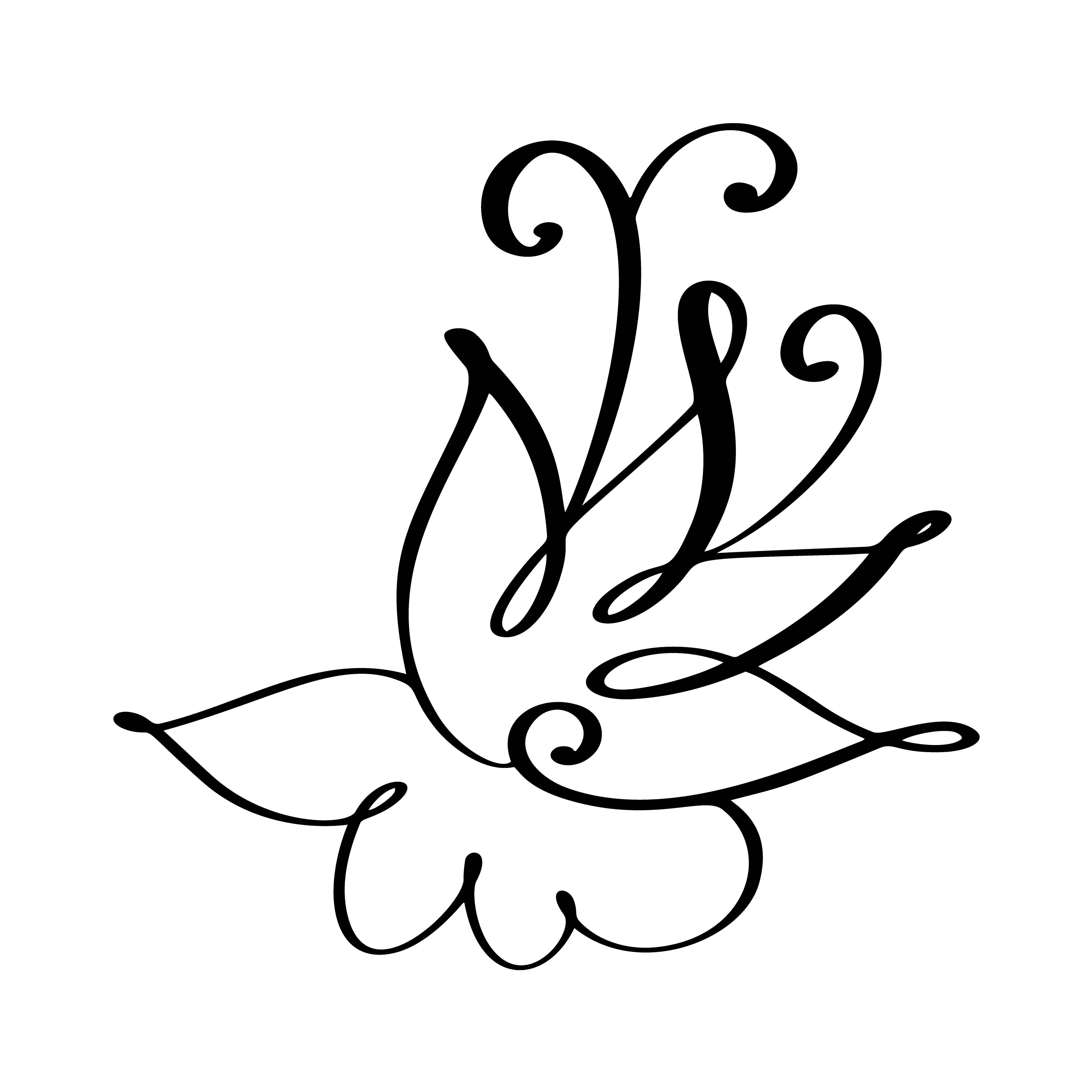 Download hand drawn flourish Vector illustration - Download Free Vectors, Clipart Graphics & Vector Art