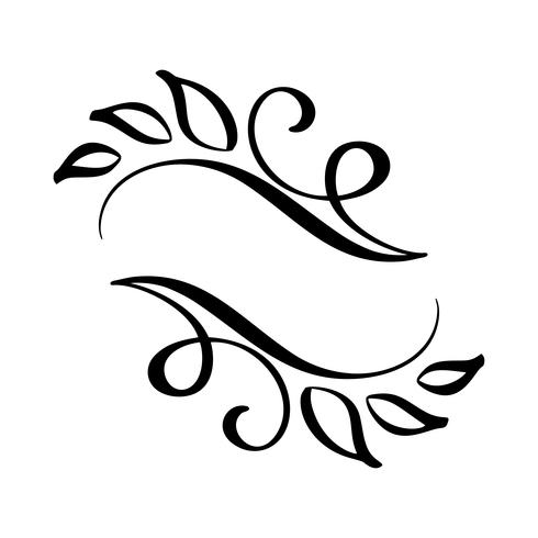 Hand drawn border flourish separator Calligraphy designer elements. Vector vintage illustration Isolated on white background