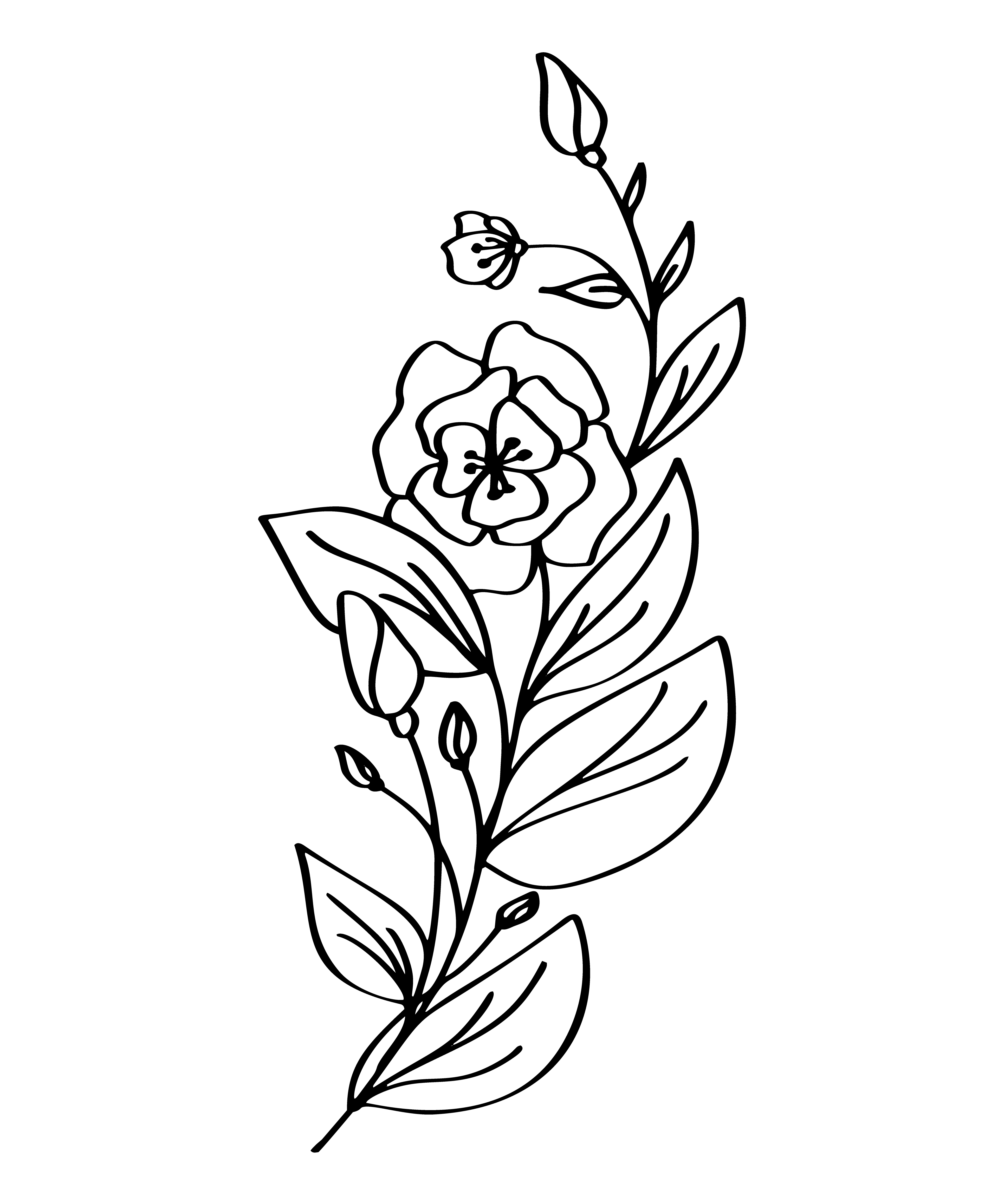Hand drawn modern flowers drawing and sketch floral with line-art