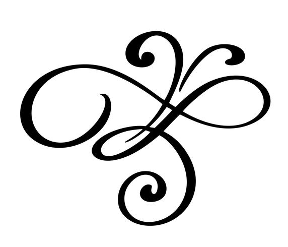 hand drawn flourish Calligraphy elements. Vector illustration