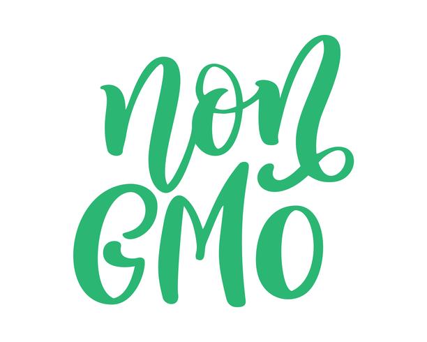 Frase de letras dibujadas a mano de alimentos no OGM aislado sobre fondo blanco. Cita de caligrafía de texto de ilustración vectorial vector