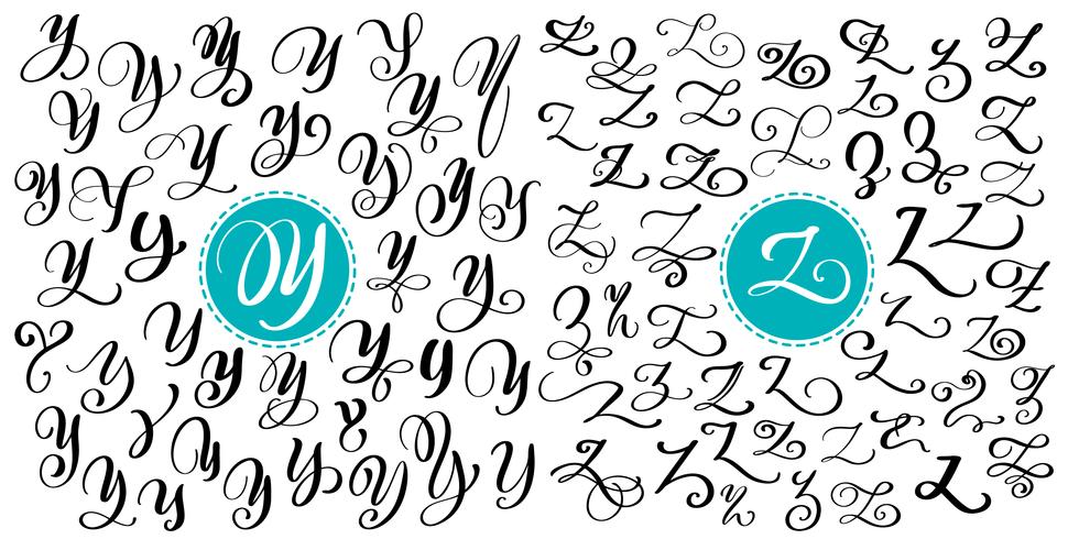 Hand drawn vector calligraphy letter Y, Z. Script font. Isolated letters written with ink. Handwritten brush style. Hand lettering for logos packaging design poster