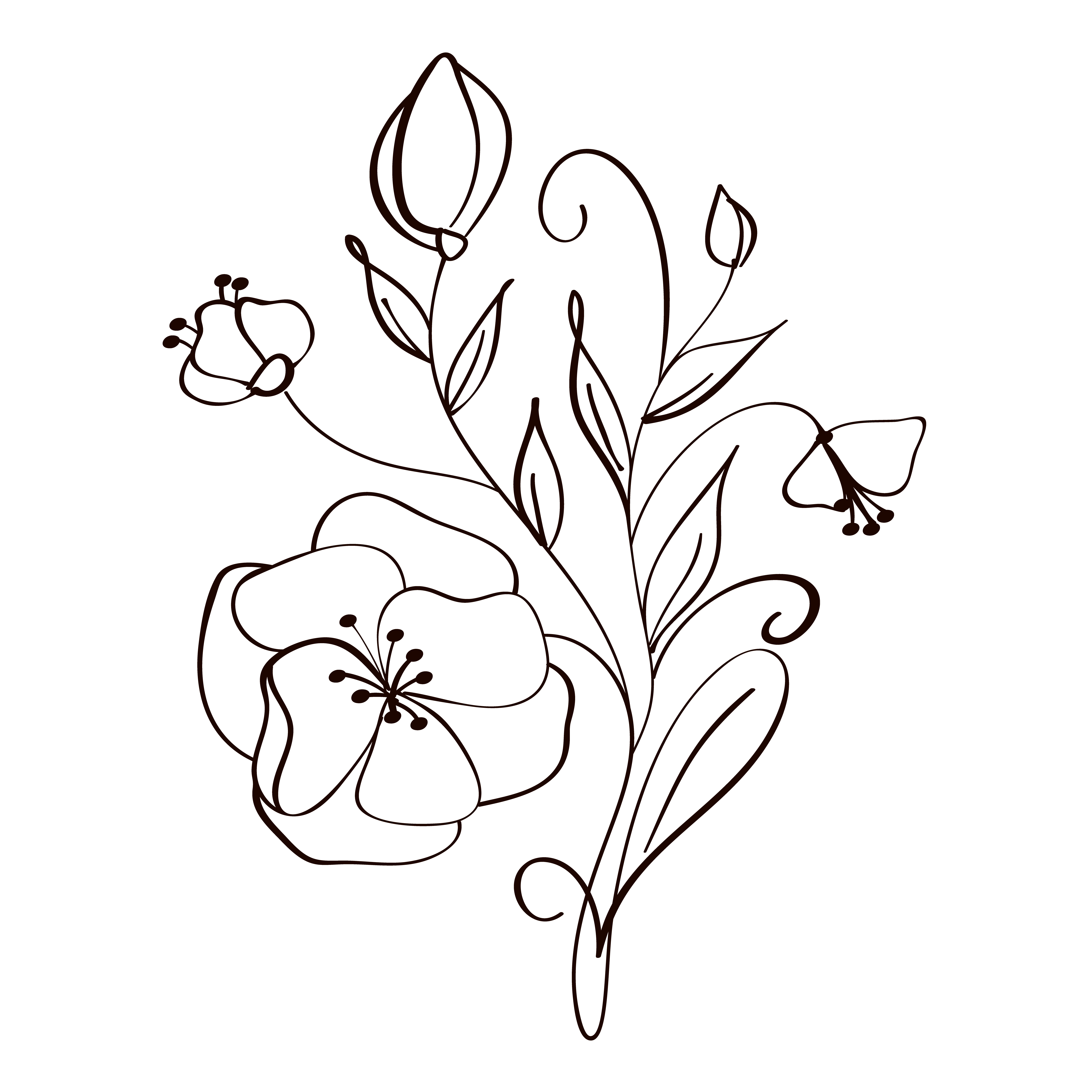 modern flowers drawing and sketch floral with line-art Isolated on