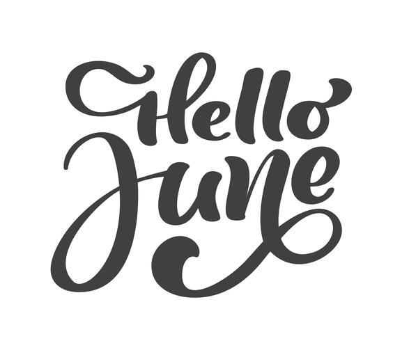 Hola junio texto impresión vector de letras. Ilustración minimalista de verano. Frase de caligrafía aislada sobre fondo blanco