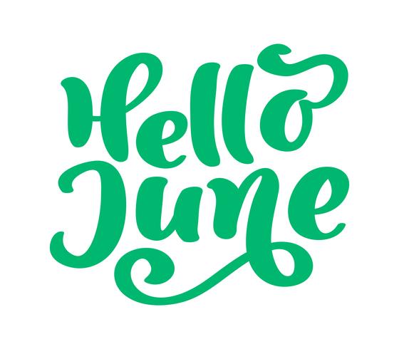 Hello june lettering print vector text. Summer minimalistic illustration. Isolated calligraphy phrase on white background