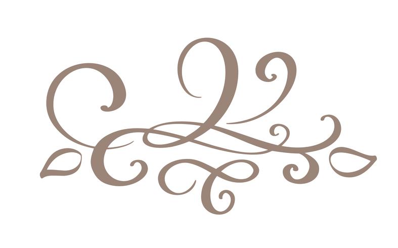 Hand drawn border flourish separator  vector