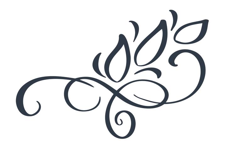 Download Hand drawn border flourish separator Calligraphy designer ...