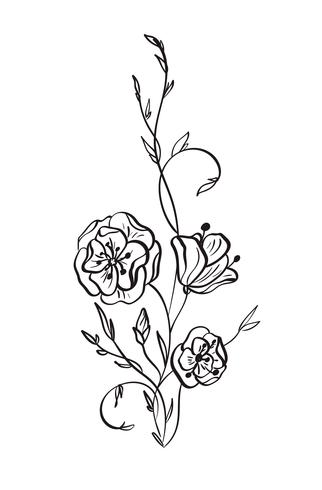 Dibujado a mano, flores color de rosa salvaje, dibujo vectorial y boceto con arte lineal sobre fondos blancos vector