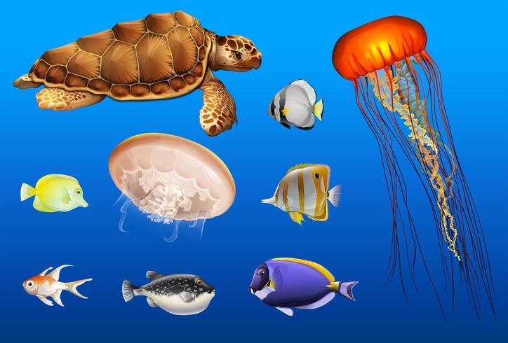 Diferentes tipos de animales marinos en el océano. vector