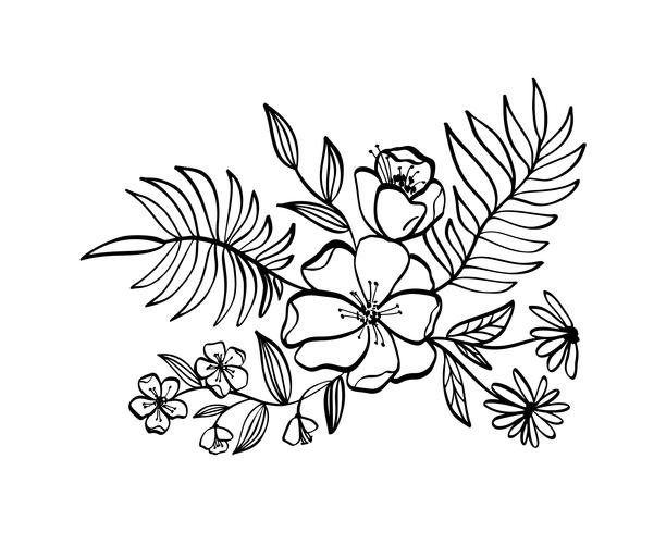 modern flowers drawing and sketch  vector