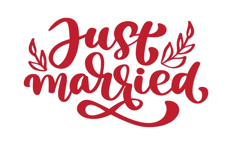 Just married hand lettering text for wedding cards and invitation vector