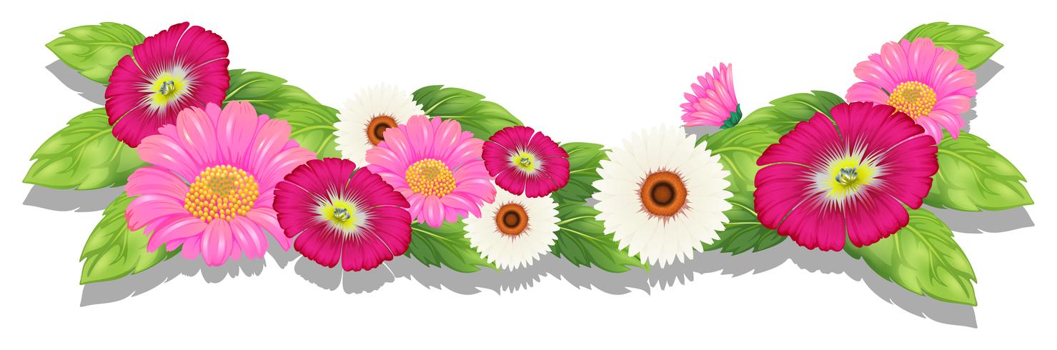 Colourful fresh flowers vector