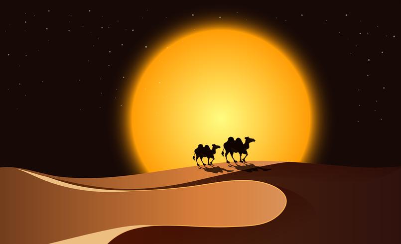 Desert scene at night vector