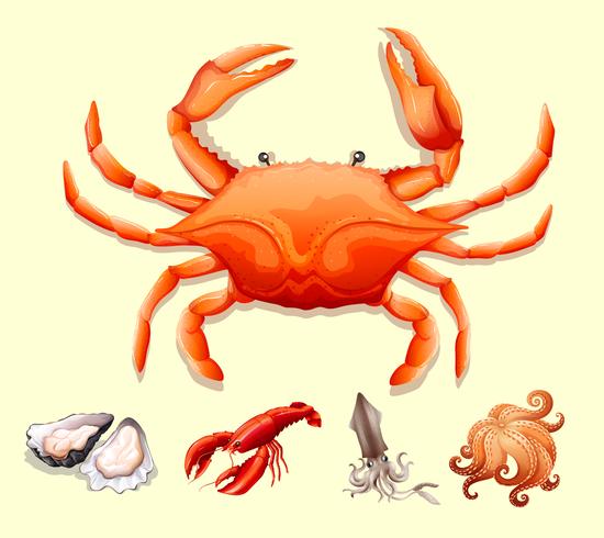 Different kind of seafood vector