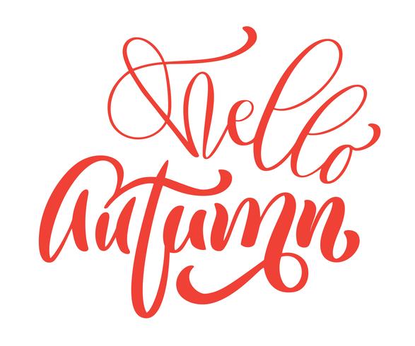 Hello autumn hand lettering phrase on orange Vector Illustration t-shirt or postcard print design, vector calligraphy text design templates, Isolated on white background