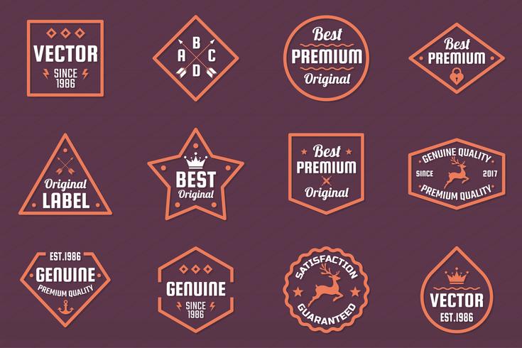 Vintage Retro Vector Logo for banner