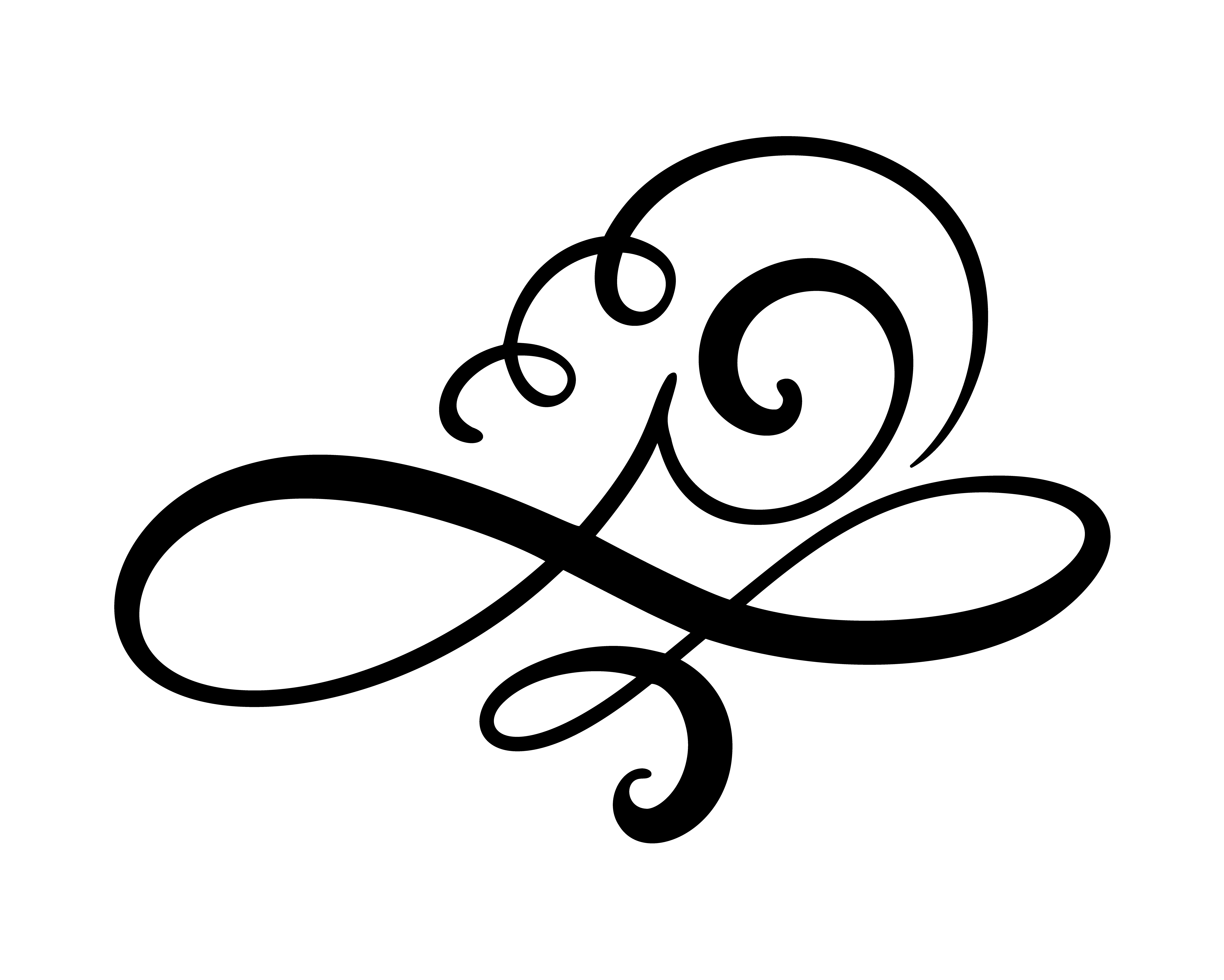 Download Vector floral calligraphy element flourish, divider for ...