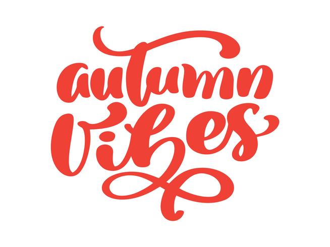 Autumn vibes hand lettering phrase on orange Vector Illustration t-shirt or postcard print design, vector calligraphy text design templates, Isolated on white background