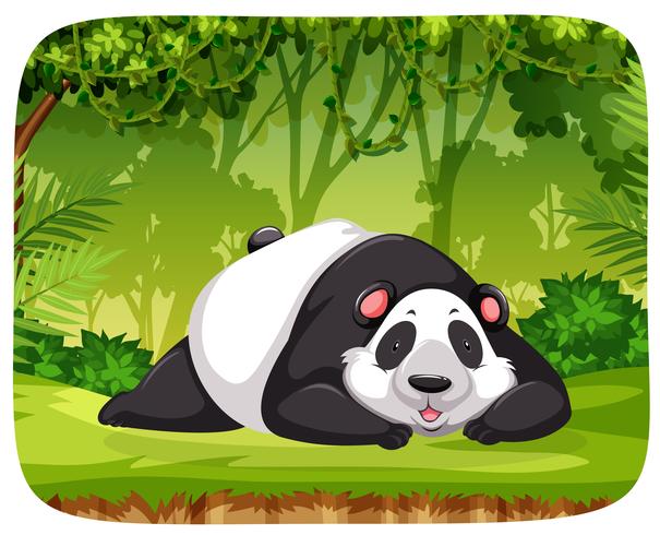 Un panda en la escena de la selva. vector