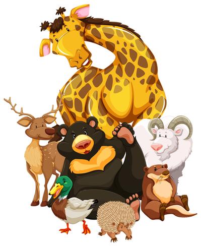 Los animales vector