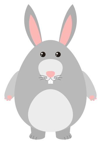 Cute rabbit with gray fur vector