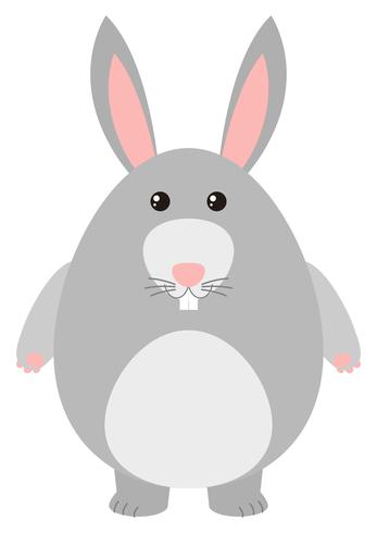 Cute rabbit with gray fur vector