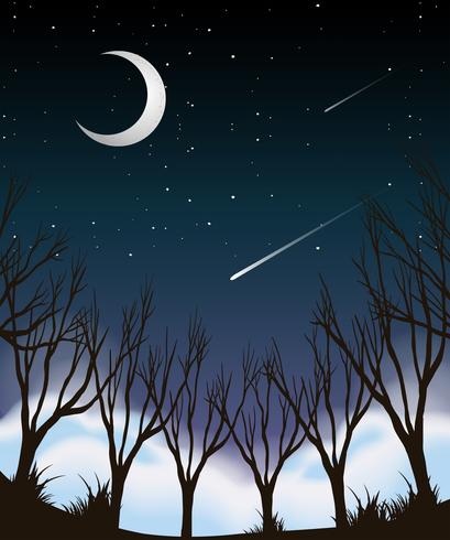 Cielo nocturno bosque escena vector